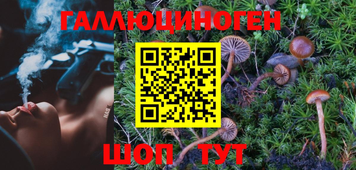 Галлюциногенные грибы мицелий  Галлюциногенные грибы Psilocybe  Вход с VPN  Урай 