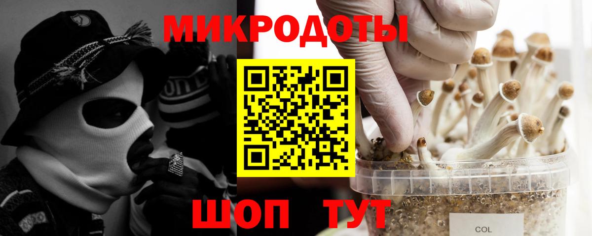 Псилоцибиновые грибы Psilocybine cubensis Урай