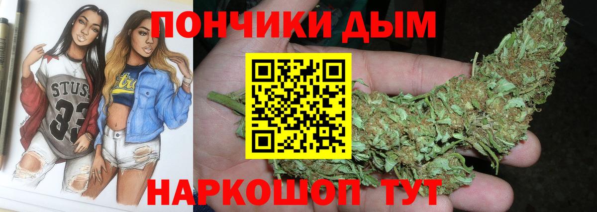 Марихуана сатива Урай